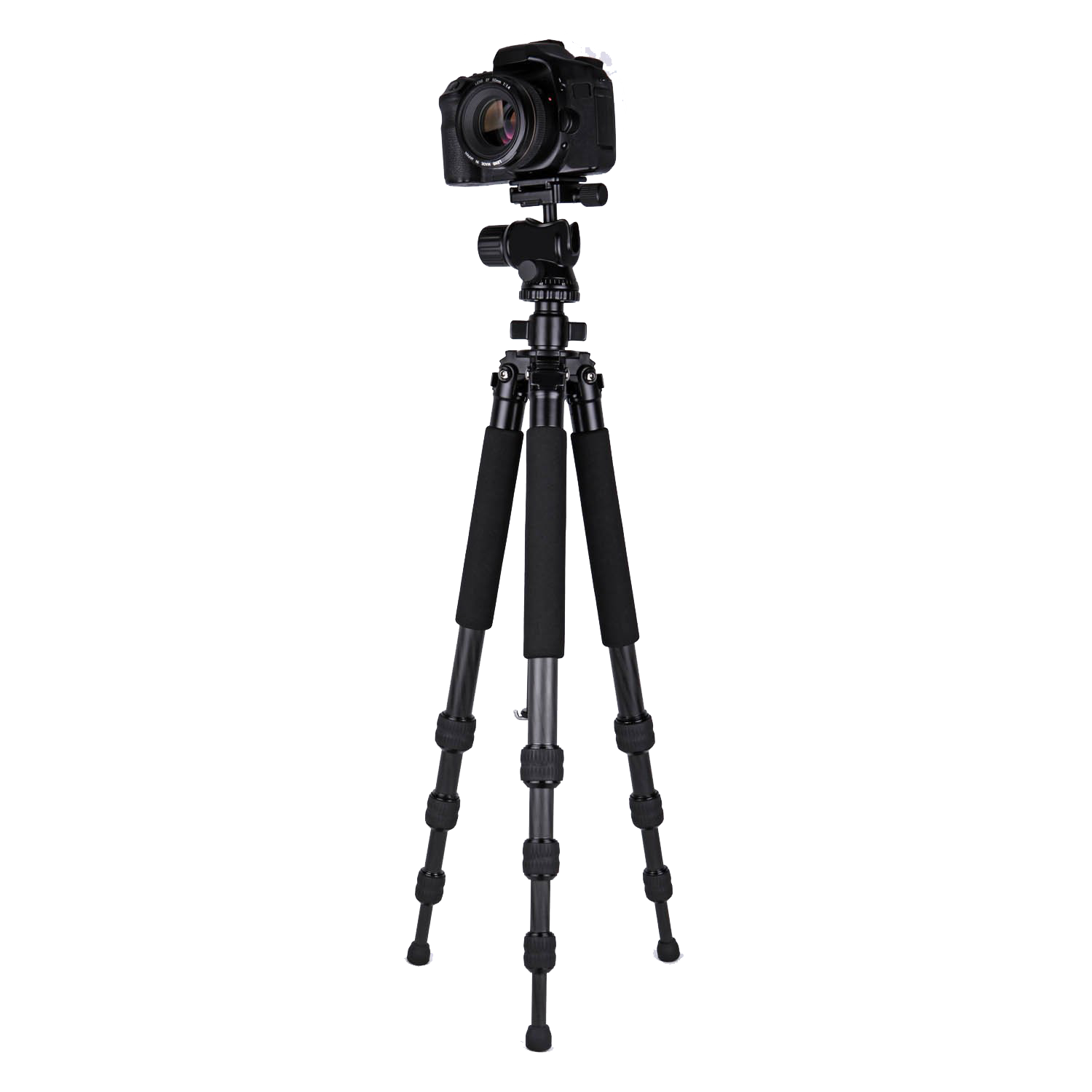 Tripods & Stands